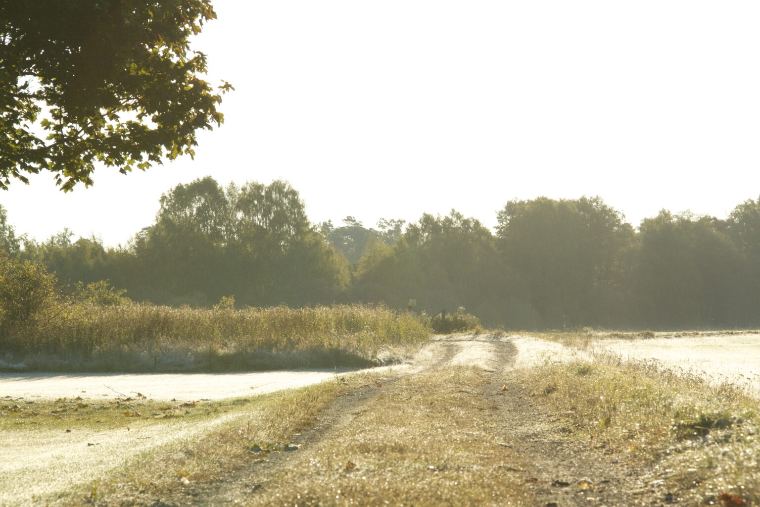 promenad i naturreservatet