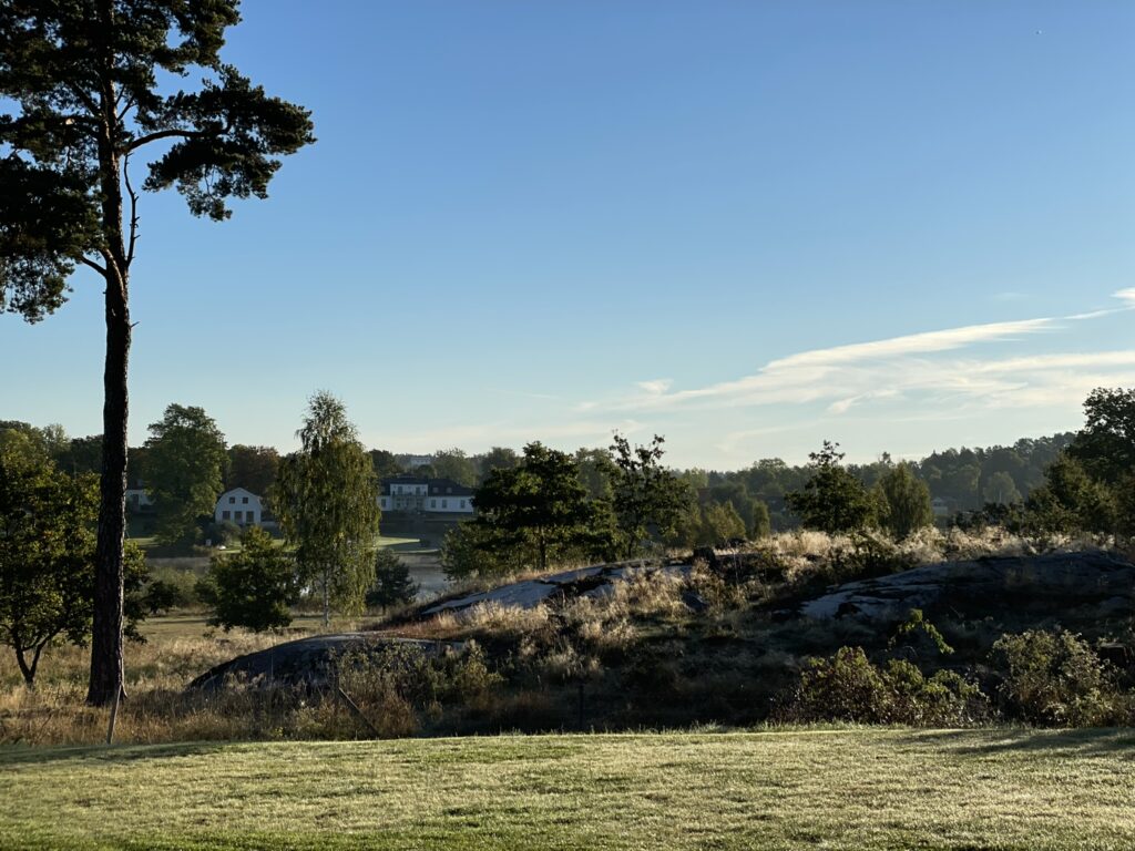 Natur Runöhallen (2)