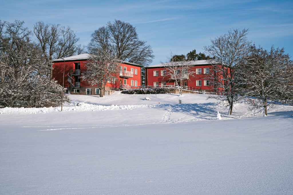 runo_vinter_AA19471-fullformat-webb
