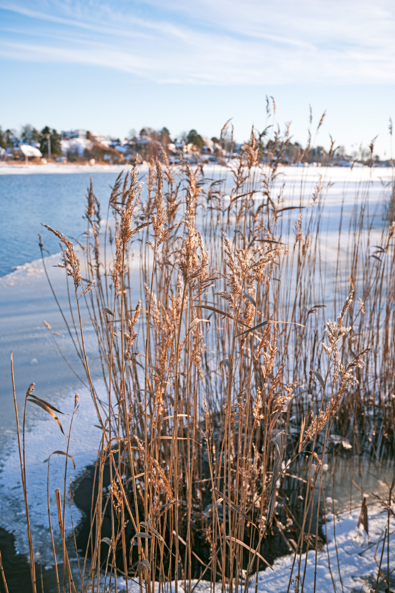 vass i viken