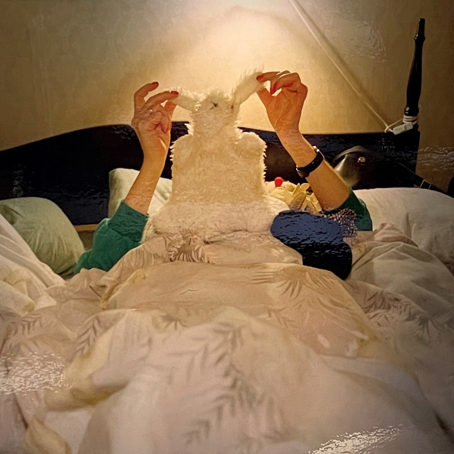 Foto från konstutställningen Da Capo