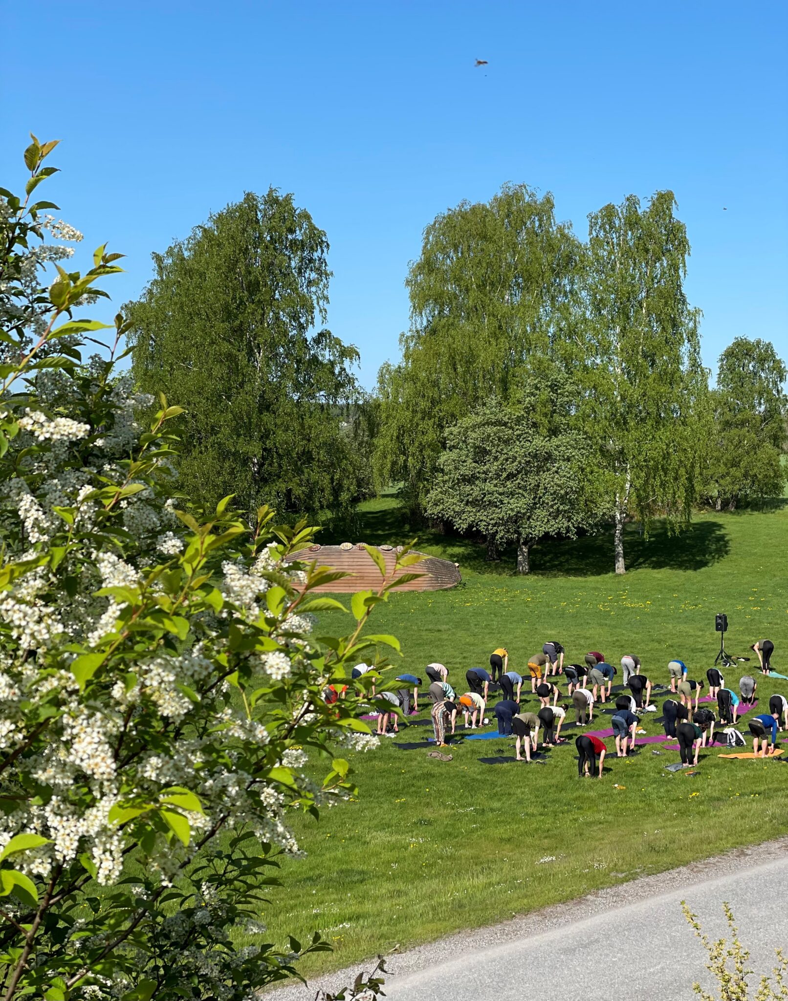 Yoga på aktivitetsfältet hos Runö Möten & Events