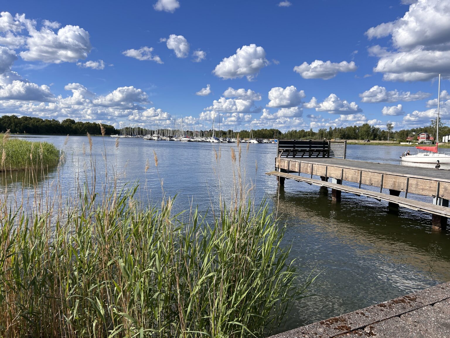 Bryggan till Runö Möten & Events en sommardag